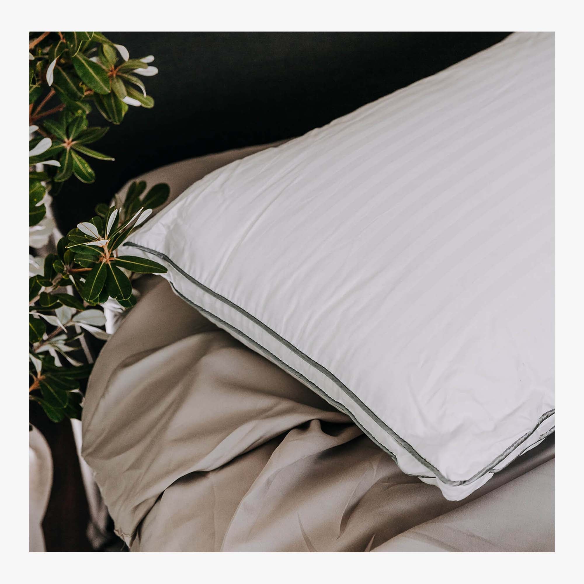 Moodmaker Superior Australian Alpaca Pillow