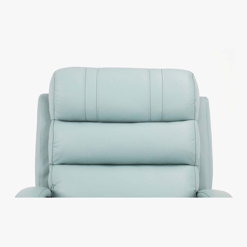 Princeton Lift Chair